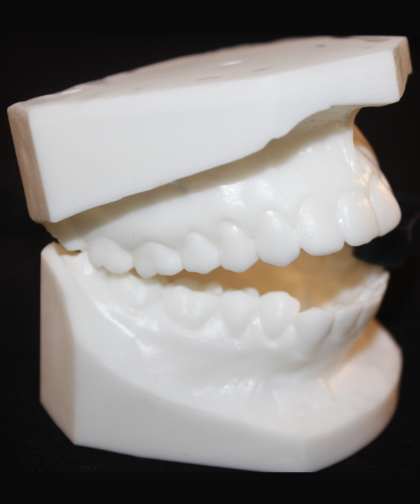 Modelos De Estudio Con Zócalo Prefabricado